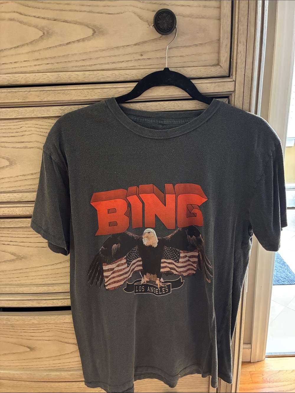 Anine Bing Charcoal Short-Sleeve Tee with Red Logo and American Eagle